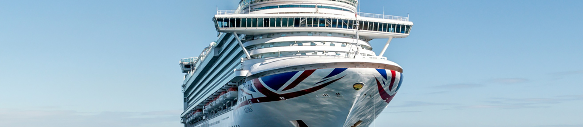 Cruise Injury Banner Image
